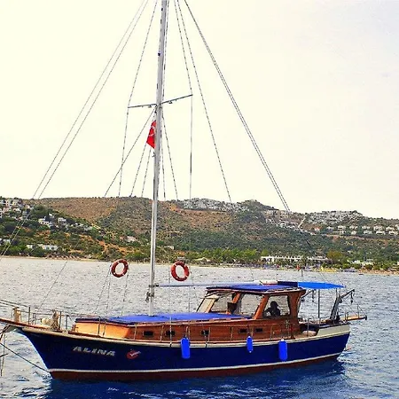 Evoteli Group Kuzey Alina Yachting *