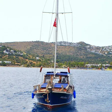 Evoteli Group Kuzey Alina Yachting Πλωτό κατάλυμα *