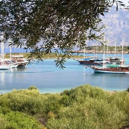 Πλωτό κατάλυμα Evoteli Group Kuzey Alina Yachting Αλικαρνασσός